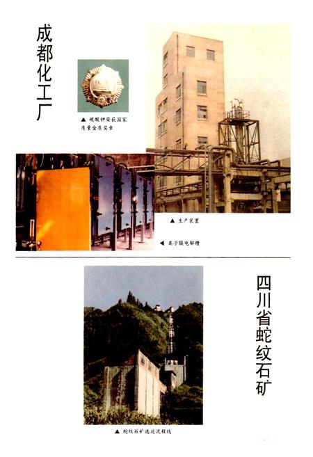 《成都市志 化学工业志》.pdf电子版_四川省志插图5