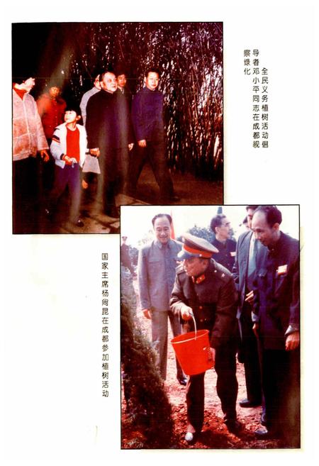 《成都市志 林业志》.pdf电子版_四川省志插图3