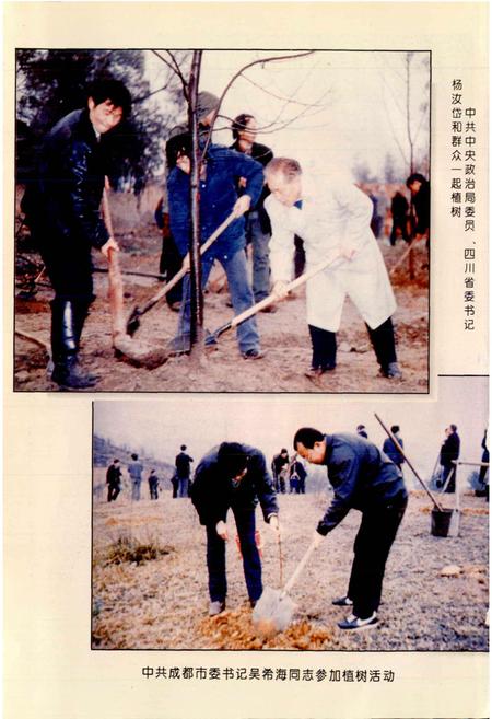 《成都市志 林业志》.pdf电子版_四川省志插图4