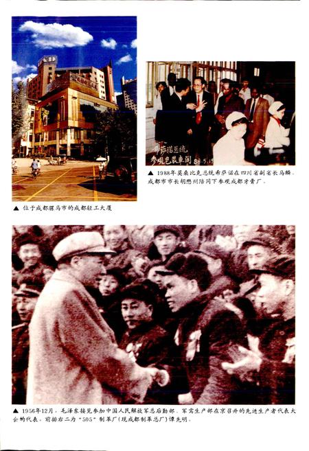 《成都市志 轻工业志》.pdf电子版_四川省志插图3