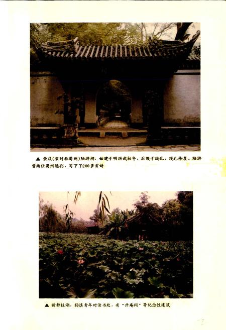 《成都市志 文学志》.pdf电子版_四川省志插图5