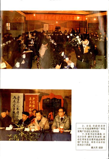 《成都市志 乡镇企业志》.pdf电子版_四川省志插图4