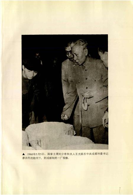 《成都市志 医药志》.pdf电子版_四川省志插图3