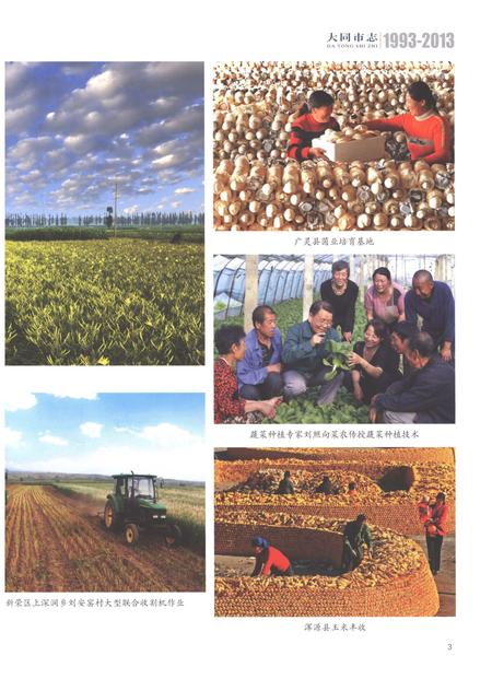 《大同市志1993-2013第六册》.pdf电子版_山西省志插图5