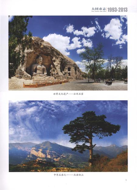 《大同市志1993-2013第四册》.pdf电子版_山西省志插图3