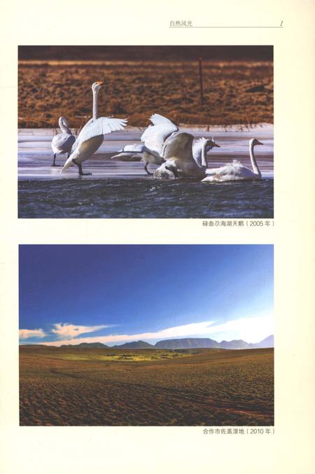 《甘南州志1991-2010上》.pdf电子版_甘肃省志插图5