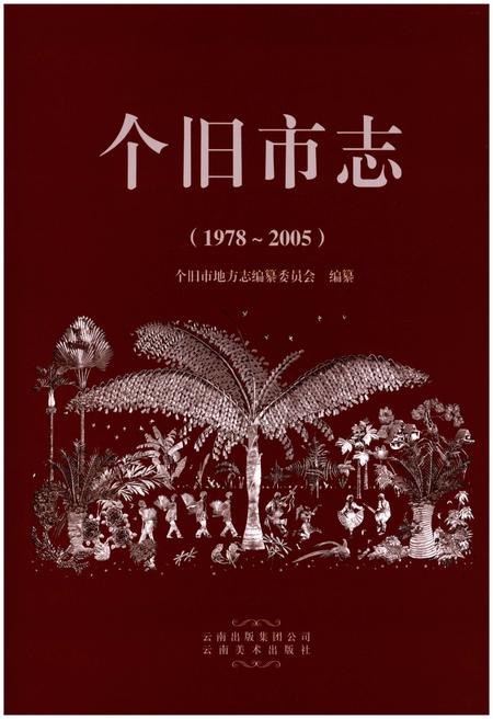 《个旧市志(1978-2005)》.pdf电子版_云南省志插图1