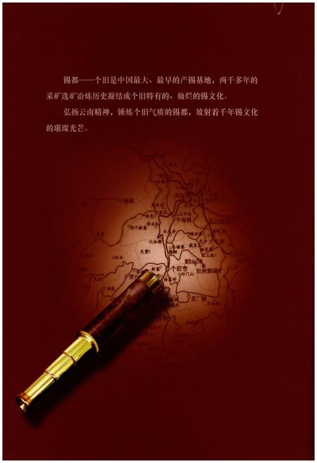 《个旧市志(1978-2005)》.pdf电子版_云南省志插图4