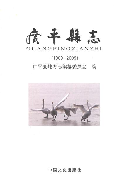 《广平县志1989-2009》.pdf电子版_河南省志插图1