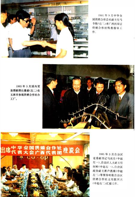《广西通志 供销合作社志》.pdf电子版_广西壮族自治区志插图4
