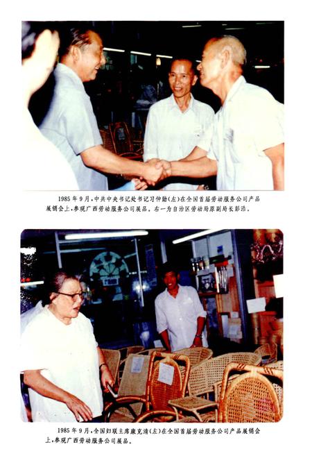 《广西通志 劳动志》.pdf电子版_广西壮族自治区志插图3