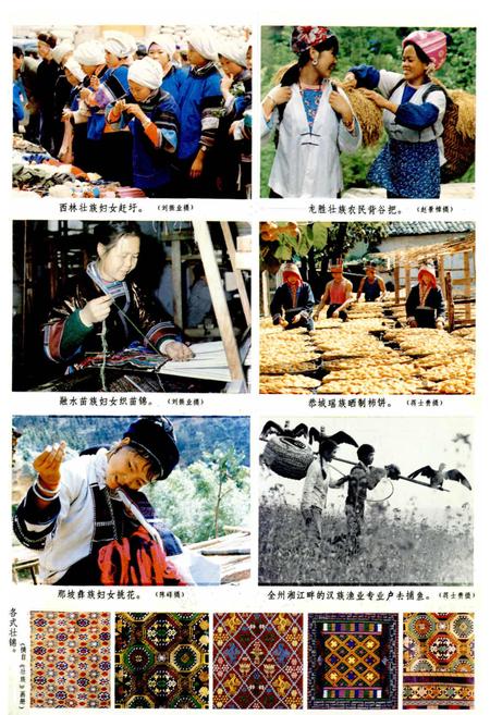 《广西通志 民俗志》.pdf电子版_广西壮族自治区志插图3