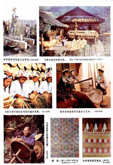 《广西通志 民俗志》.pdf电子版_广西壮族自治区志插图4