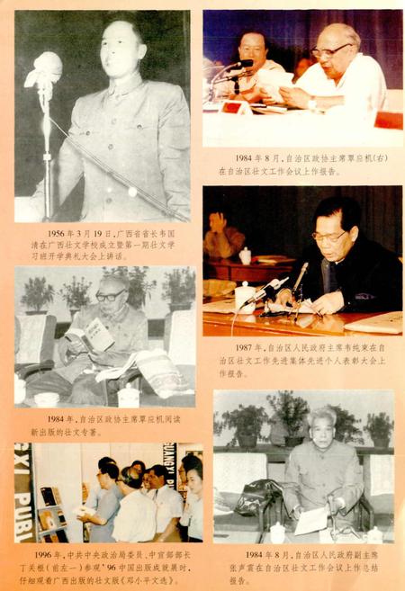 《广西通志 少数民族语言志》.pdf电子版_广西壮族自治区志插图1