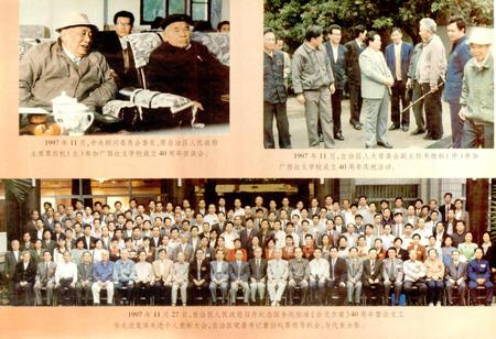《广西通志 少数民族语言志》.pdf电子版_广西壮族自治区志插图4