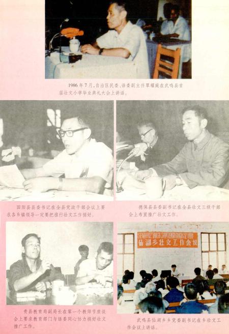 《广西通志 少数民族语言志》.pdf电子版_广西壮族自治区志插图5