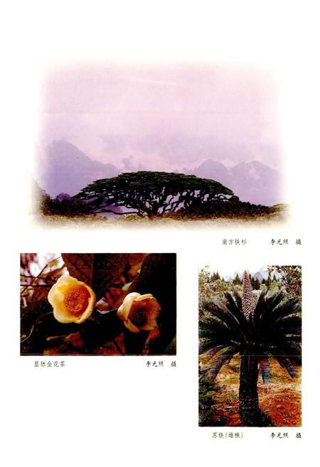 《广西通志 生物志》.pdf电子版_广西壮族自治区志插图3