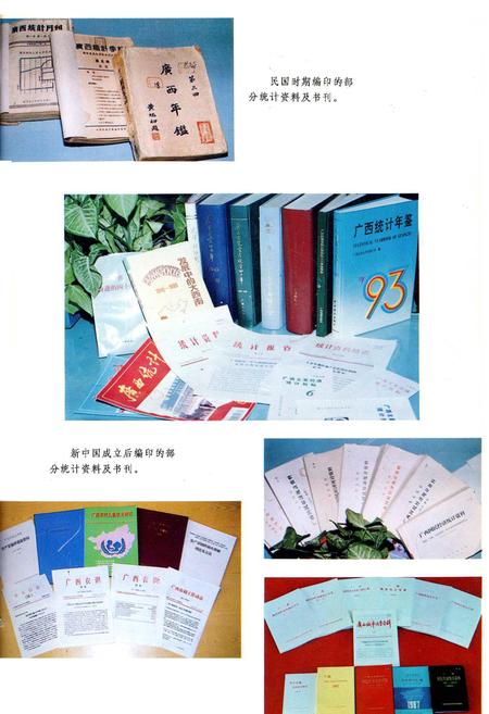 《广西通志 统计志》.pdf电子版_广西壮族自治区志插图5