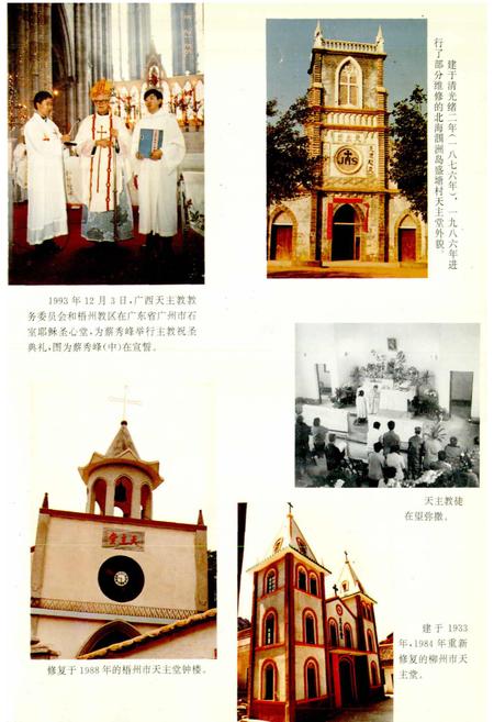 《广西通志 宗教志》.pdf电子版_广西壮族自治区志插图5