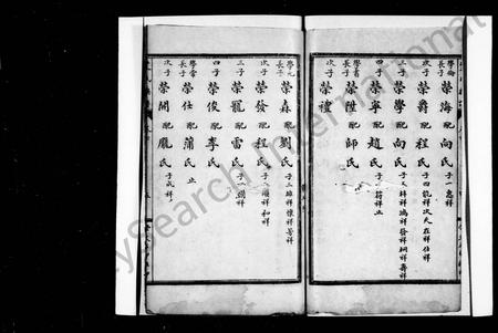 四川艾氏-艾氏族谱 [残卷].pdf电子版插图3