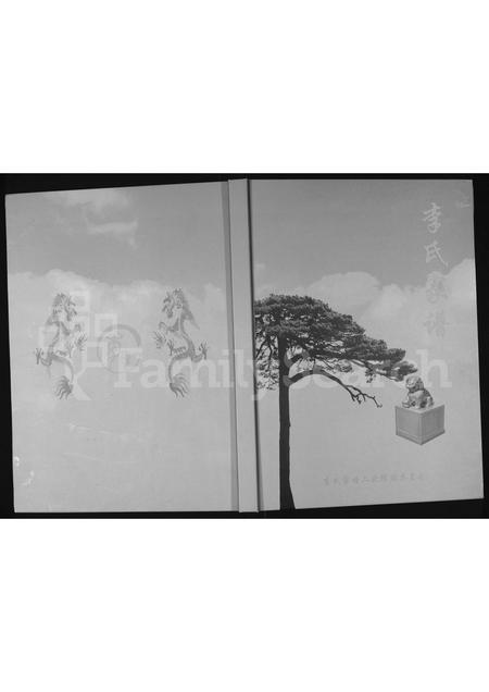 3677.李氏家谱 ： 横山县殿市镇大小石畔支派(别名：李氏家谱).pdf电子版