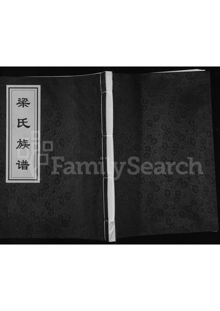 3712.梁氏族谱(别名:梁氏族谱 : 交口县双池镇蟠龙庄村).pdf电子版插图 3712.梁氏族谱(别名:梁氏族谱 : 交口县双池镇蟠龙庄村).pdf电子版插图