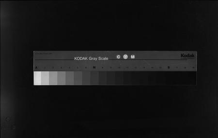 3742.廖氏族谱 [残卷](别名：Liao Shi Zu Pu、廖氏族谱).pdf电子版