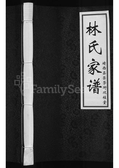 3782.林氏家谱 ： 靖西县荣劳街双桂堂(别名：林氏家谱).pdf电子版