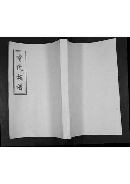 4856.甯氏族谱.pdf电子版插图 4856.甯氏族谱.pdf电子版插图