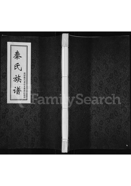 5150.秦氏族谱 ： 高密秦氏老长支秦家岭族谱(别名：秦氏族谱).pdf电子版