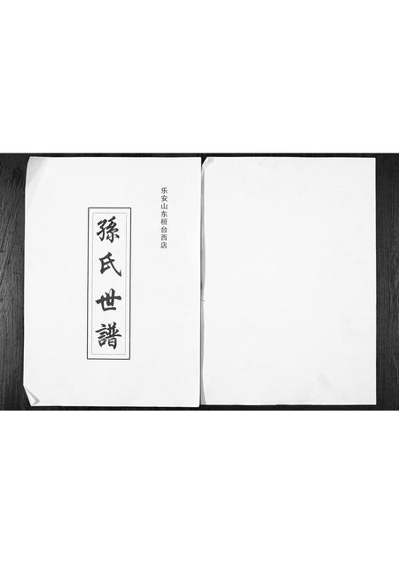 5801.乐安山桓台西店孙氏世谱 [1册](别名：Le An Shan Huan Tai Xi Dian Sun Shi Shi Pu、乐安山桓台西店孙氏宗谱).pdf电子版