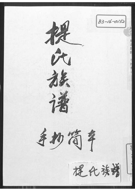 6080.提氏族谱 ： 手抄简本.pdf电子版