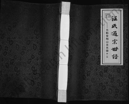 6188.汪氏通宗世谱 ： 忠勤堂陶山支系谱 [8卷].pdf电子版