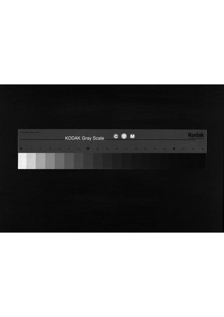 0547.[陈氏]朝遵、朝节派实录(别名：陈氏家谱、Chaozun、Chaojie Pai Shi Lu、[陈氏]朝遵、节派实录).pdf电子版