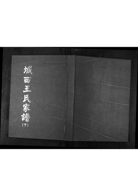 6331.城西王氏家谱 [上下册](别名：Cheng Xi Wang Shi Jia Pu、王氏家谱).pdf电子版