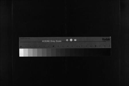 6347.王氏世谱 [不分卷](别名：新城王氏世谱、Wang Shi Shi Pu).pdf电子版