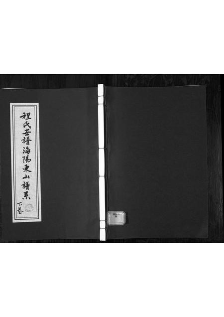 0771.程氏世谱海阳东山谱系[上中下卷](别名：Cheng Shi Shi Pu Hai Yang Dong Shan Pu Xi、程氏世谱东山谱系).pdf电子版