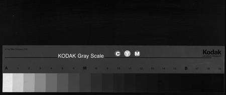 8810.伍氏族谱 [5卷,首1卷](别名：伍氏家谱、Wu Shi Zu Pu).pdf电子版