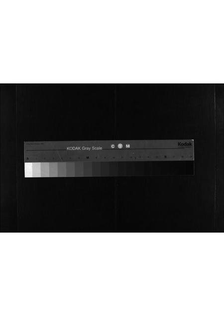 8961.萧氏家谱 [不分卷](别名：Xiao Shi Jia Pu、萧氏家谱).pdf电子版