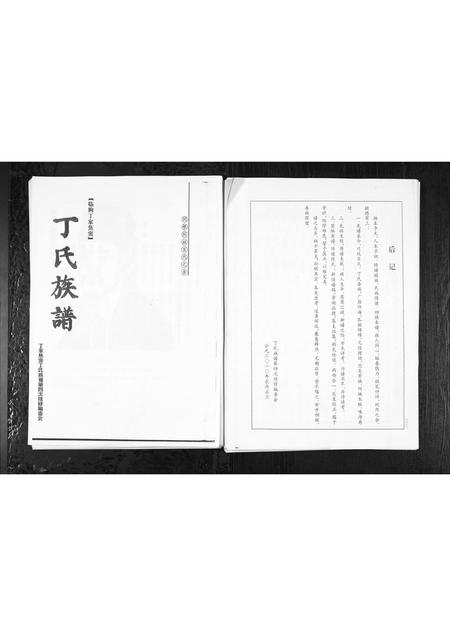 1008.丁家焦窦丁氏族谱 [1册](别名：Ding Jia Jiao Dou Ding Shi Zu Pu、丁氏族谱).pdf电子版