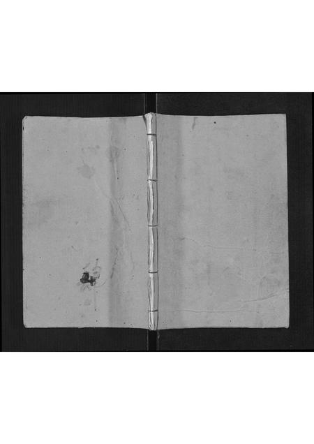 9523.杨氏家谱[不分卷](别名：Yang Shi Jia Pu、杨氏家谱).pdf电子版