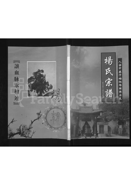 9525.杨氏宗谱 : 入宁中寨子始祖杨国强宗支.pdf电子版插图 9525.杨氏宗谱 : 入宁中寨子始祖杨国强宗支.pdf电子版插图