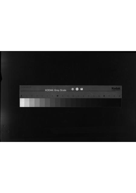 10200.万宁詹氏族谱 [不分卷](别名：万宁市万城镇春园村詹氏修谱、Wan Ning Zhan Shi Zu Pu、万宁詹氏族谱).pdf电子版