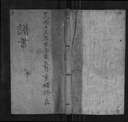 10275.三溪张氏世系志[不分卷](别名：San Xi Zhang Shi Shi Xi Zhi、三溪张氏世系志).pdf电子版