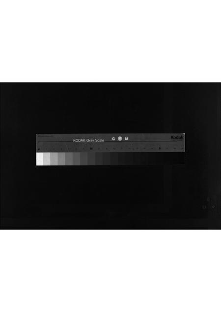 10366.张氏世谱 [2卷](别名：Zhang Shi Shi Pu、张氏世谱).pdf电子版