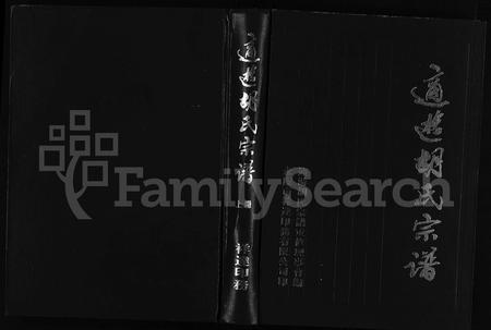 4211.适游胡氏宗谱 [5卷](别名：Shi You Hu Shi Zong Pu、适游胡氏宗谱).pdf电子版