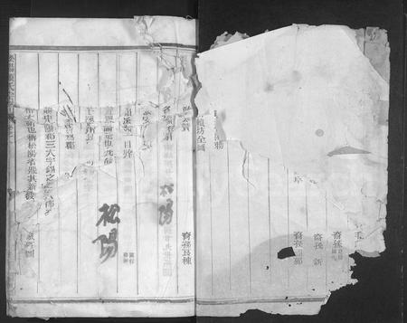 4299.松阳赖氏宗谱 [11卷].pdf电子版