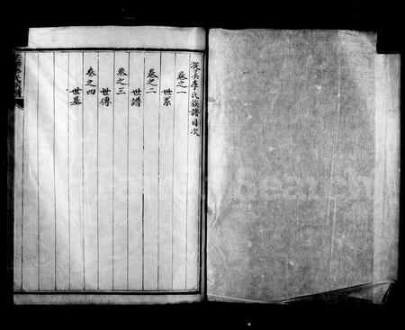 4303.漎溪李氏族谱(别名：法华李氏族谱).pdf电子版