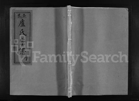 4359.凰岙卢氏宗谱 [不分卷](别名：凰岙卢氏房谱、Huang Ao Lu Shi Zong Pu、卢氏宗谱、凰岙卢氏宗谱).pdf电子版