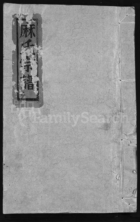 4383.麻氏宗谱 [不分卷](别名：Ma Shi Zong Pu).pdf电子版